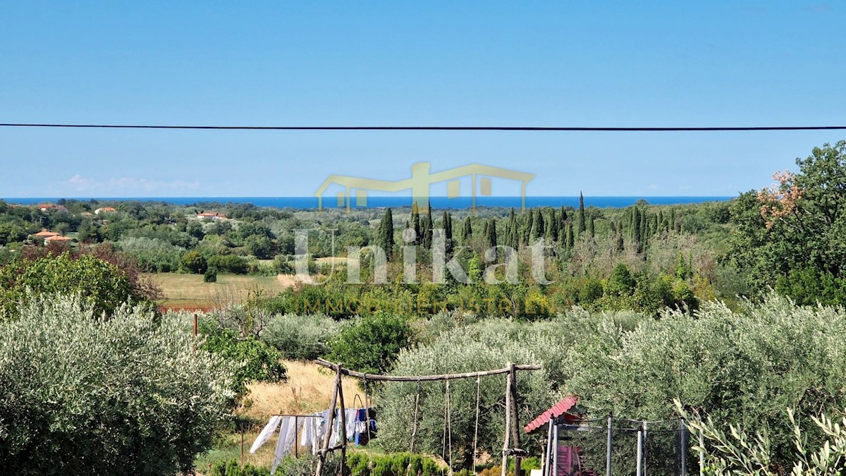 BRTONIGLA